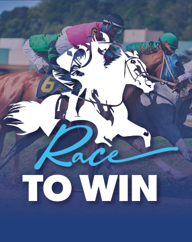 Race To Win