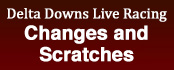 scratches and changes logo