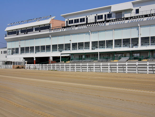 racetrack grandstands image