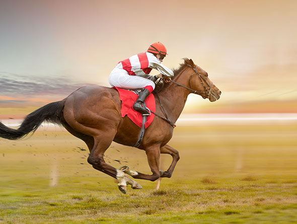 Jockey on horse image