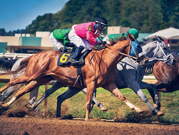 Horses racing image