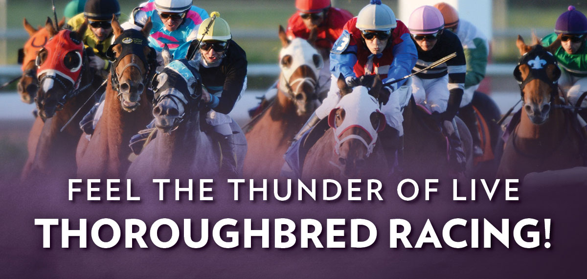 Live Thoroughbred Racing at Evangeline Downs