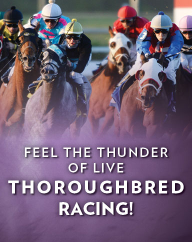 Live Thoroughbred Racing at Evangeline Downs