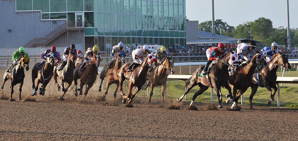 horses racing image