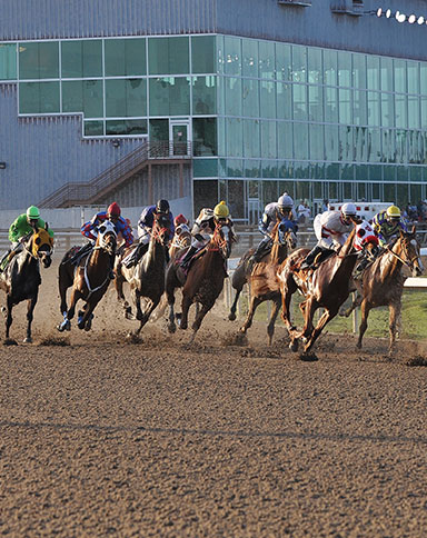 horses racing image