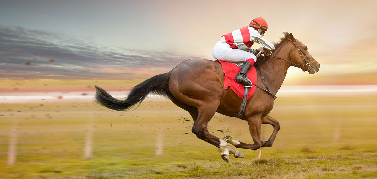 horse running image