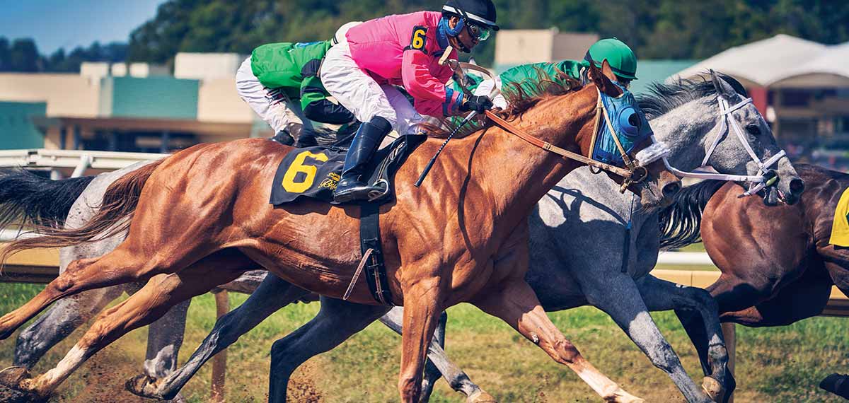 Racing Information | Evangeline Downs Racetrack, Casino, & Hotel