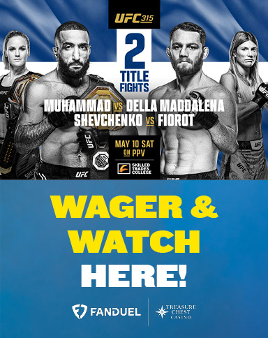UFC 315