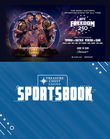 UFC Freedom 250