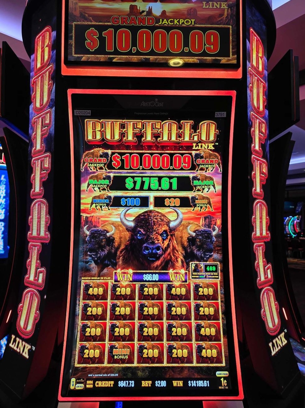 Lucky Winner $14,185