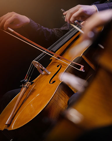 orchestra image