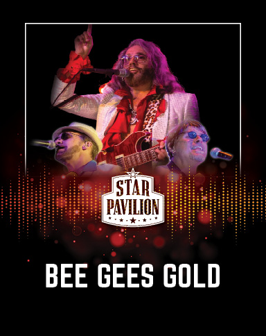 Bee Gees Gold