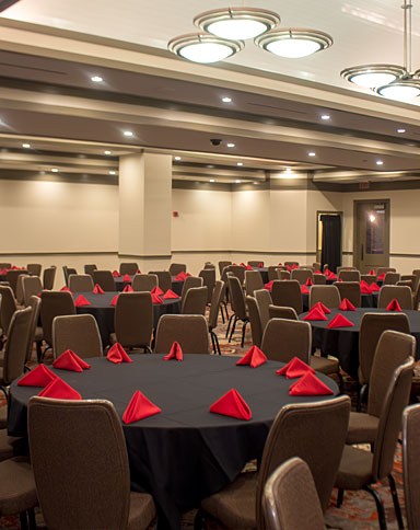 Image of Falcon Room