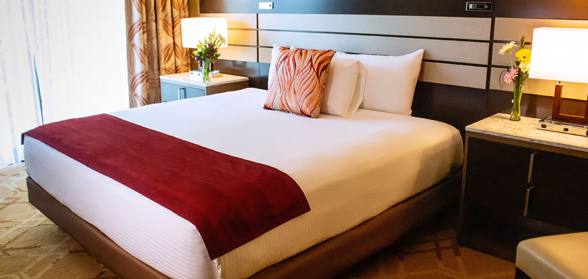 ameristar kansas city deluxe king image