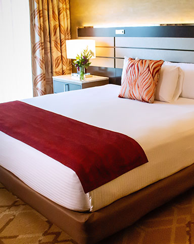 ameristar kansas city deluxe king image