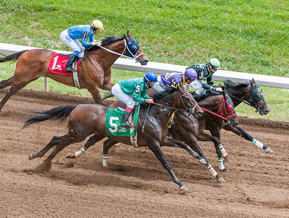 horse racing image