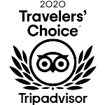 tripadvisor travelers' choice logo