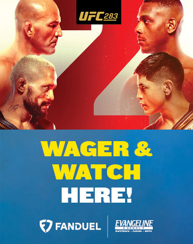 UFC 283