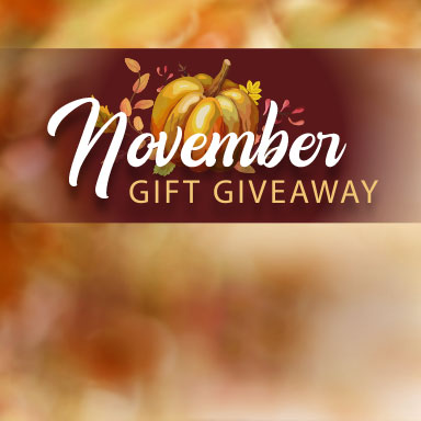 November Gift Giveaway