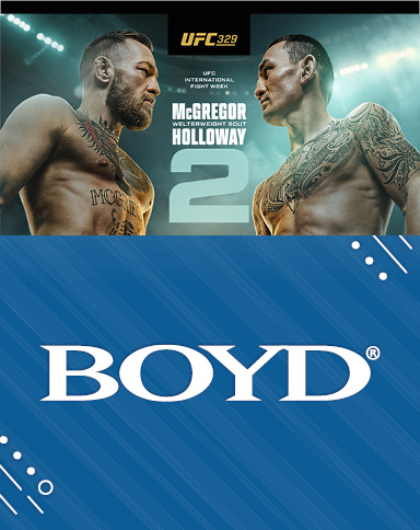 UFC 329