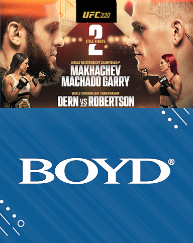 UFC 330