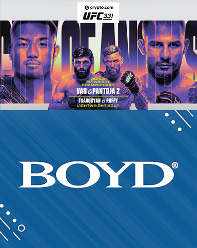 UFC 331