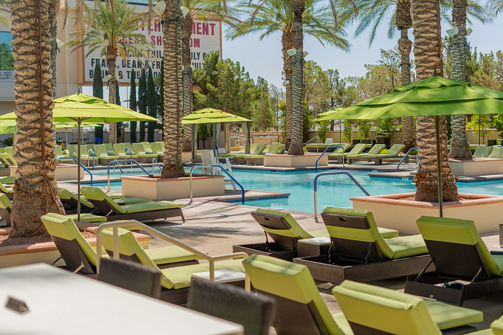 Aliante Pool Chairs