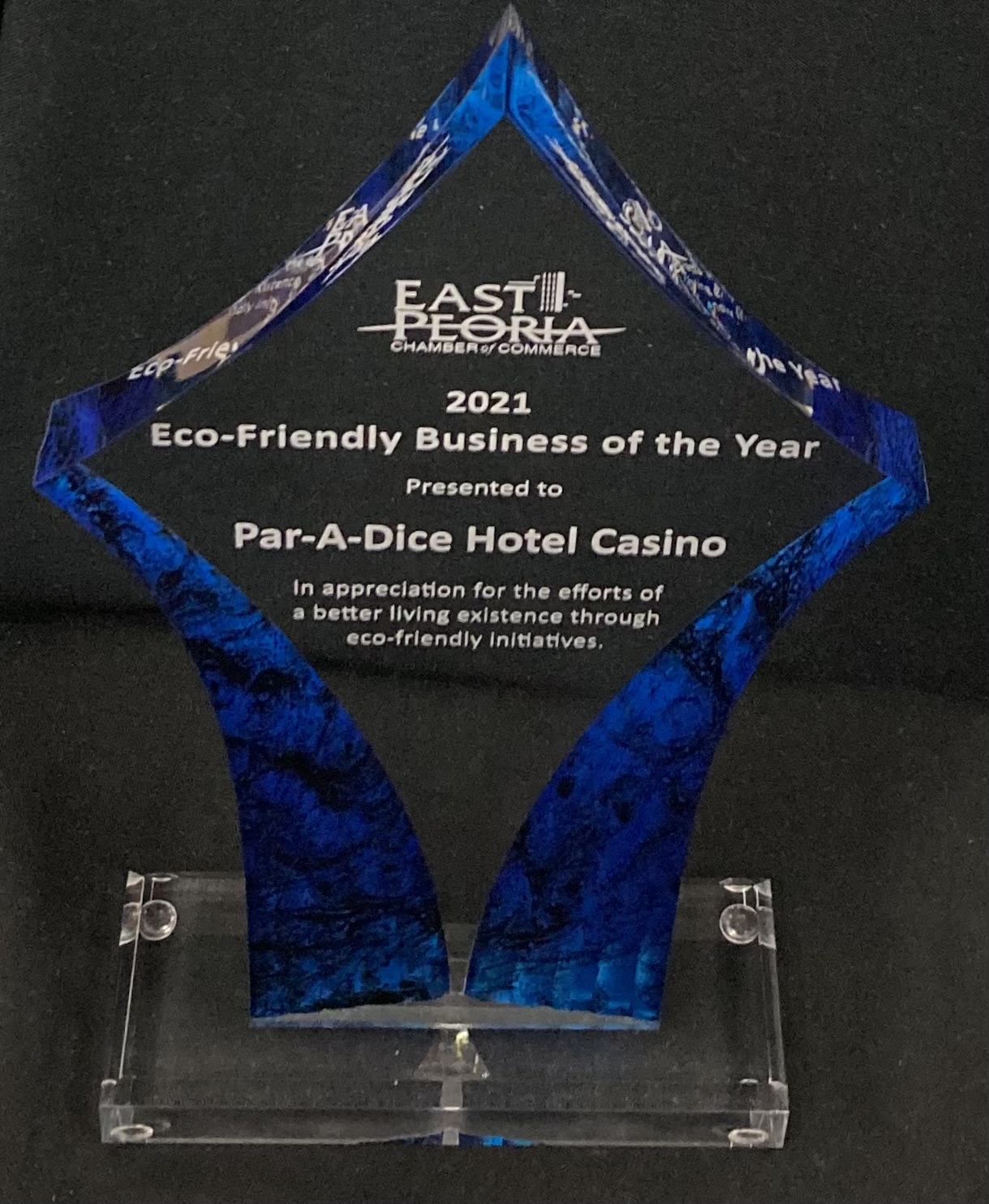 Eco-Friendly Business of the Year Award