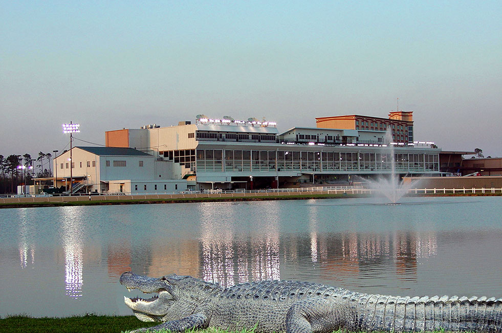 Racetrack with Gator at Delta Downs