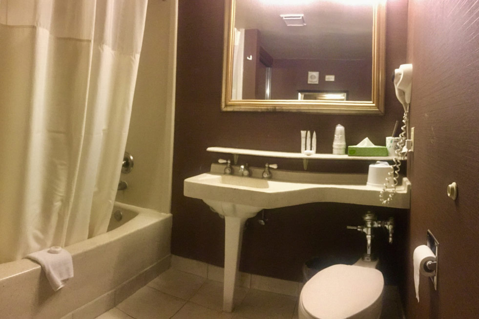 Deluxe Suite Bathroom