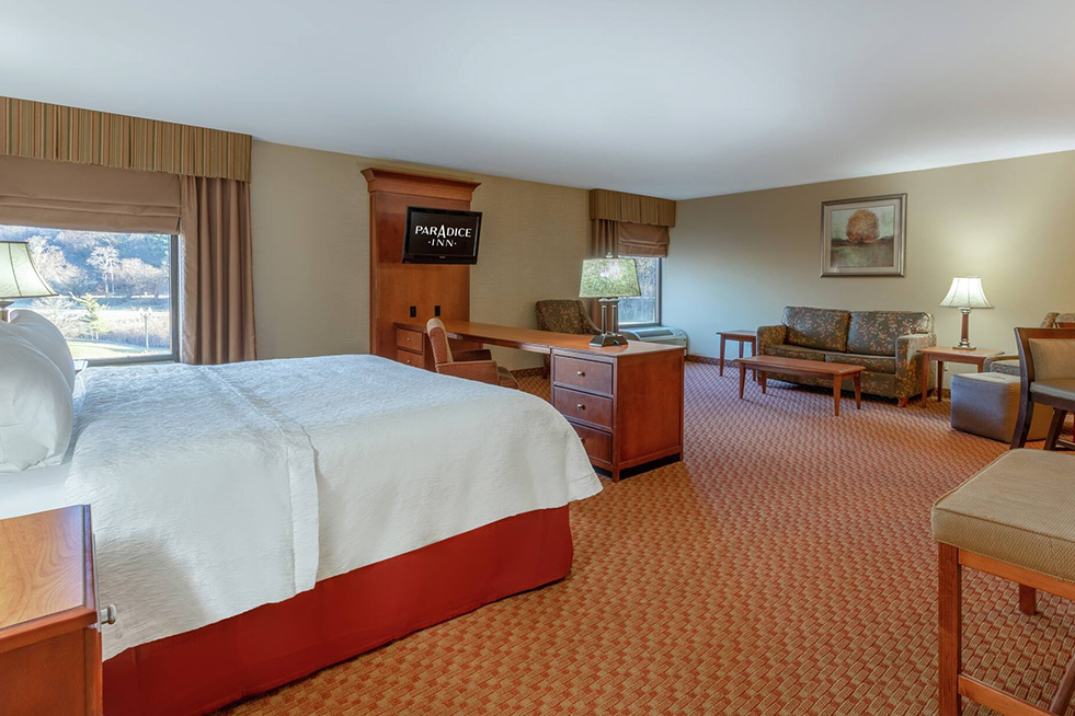 hospitality suite with sofas, chairs, and TV at paradice inn