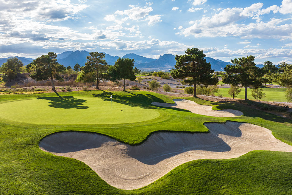 golf course at Suncoast