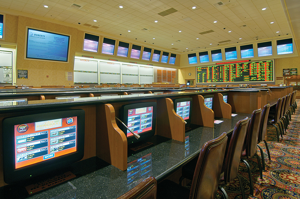 Race and Sports Book