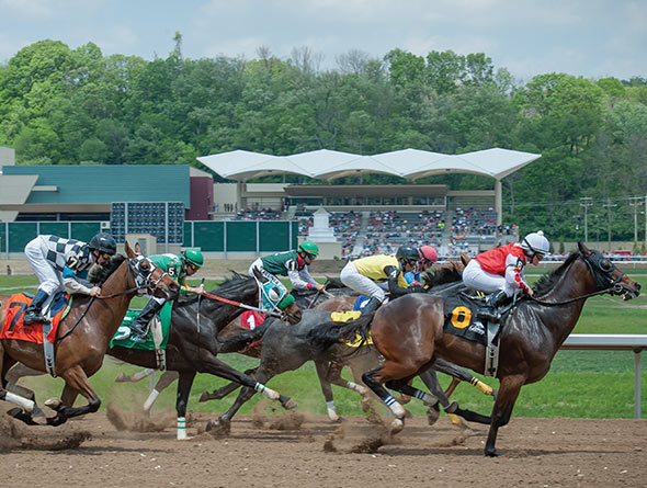 Horse racing image