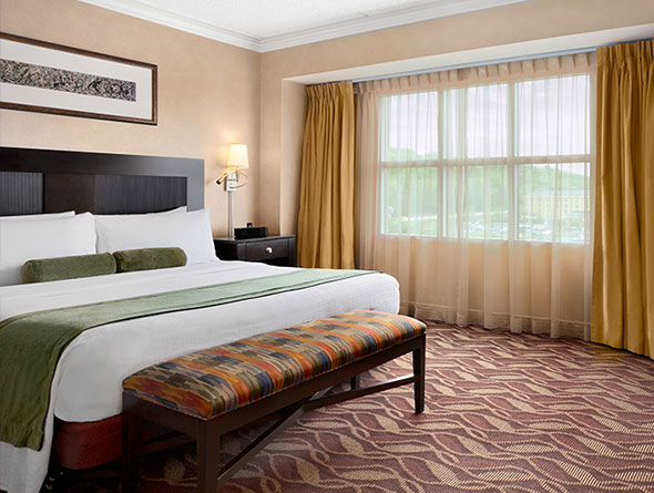 Par-A-Dice Premier Suite image